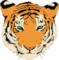 Anonymous Tiger.png